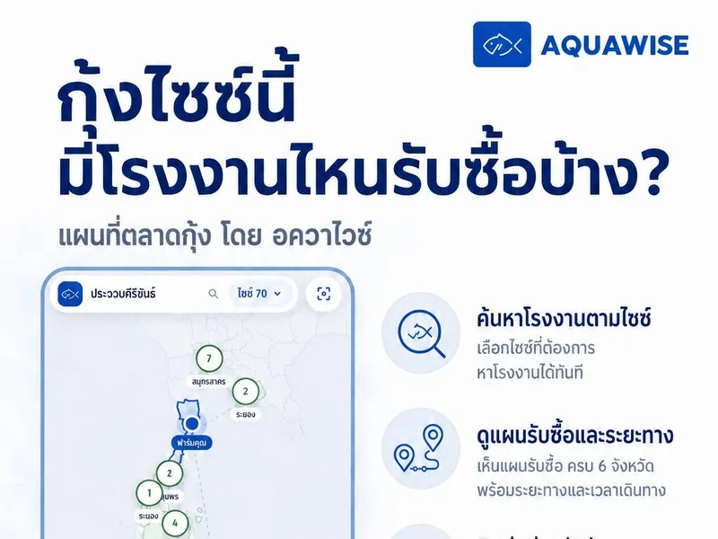 โปสเตอร์แผนที่ตลาดกุ้ง โดย AquaWise