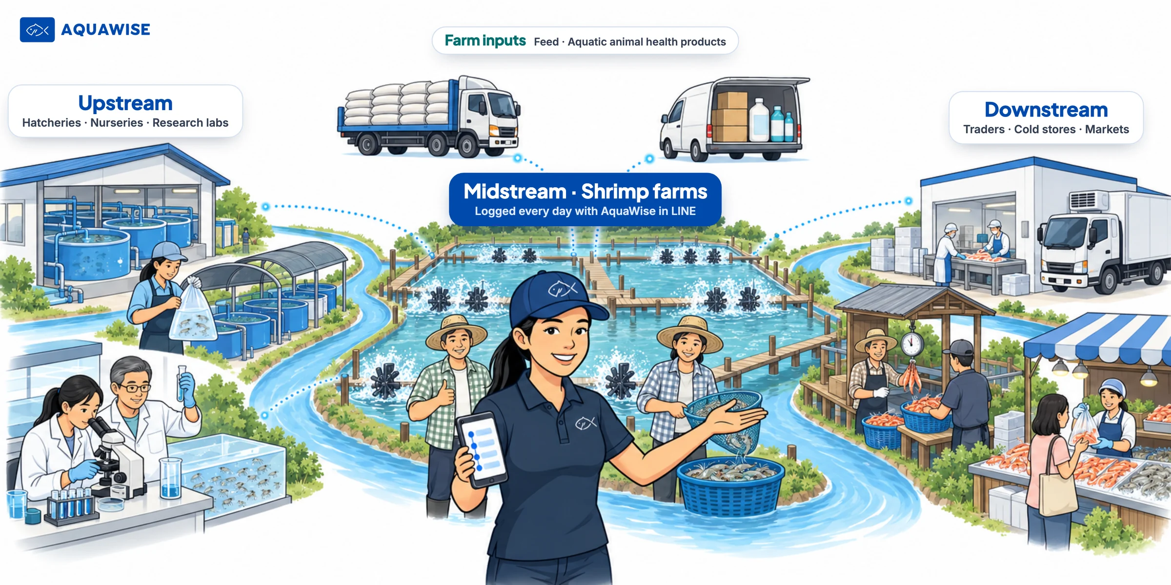AquaWise’s direction: a connected shrimp value chain. Upstream: hatcheries, nurseries and research labs. Midstream: shrimp farms logging with AquaWise, with Nong Nam at the centre. Downstream: traders, cold stores and markets. Farm inputs: feed and animal health products going into the farm.